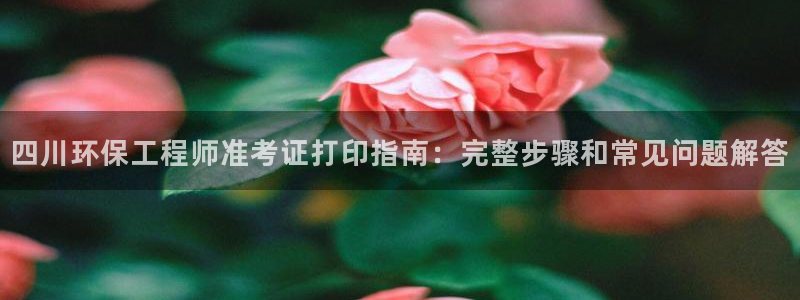 彩名堂预测软件：四川环保工程师准考证