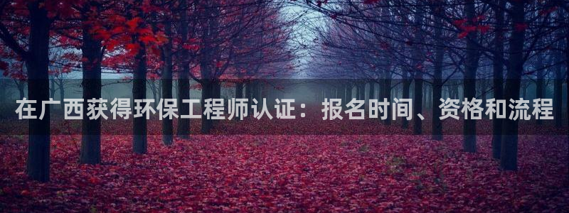 彩名堂和01计划哪个好：在广西获得环