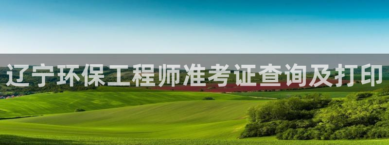 彩名堂网页：辽宁环保工程师准考证查询及打印