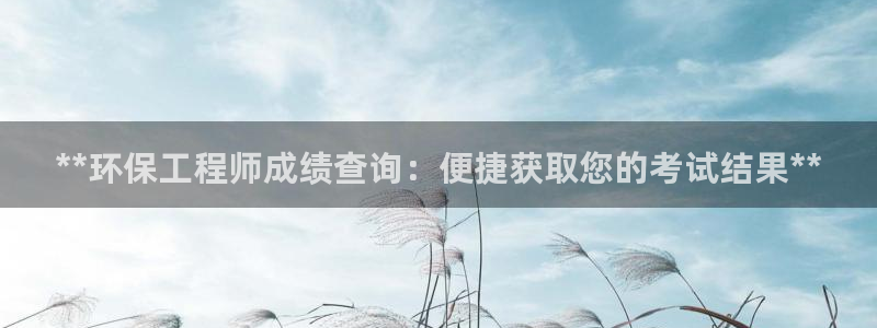 彩名堂还可以用吗：**环保工程师成绩