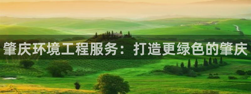 彩名堂计划技巧有哪些：肇庆环境工程服
