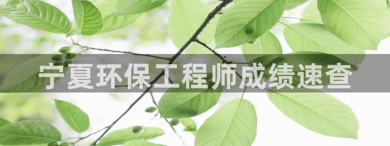 下载彩名堂预测计划软件安全吗：宁夏环