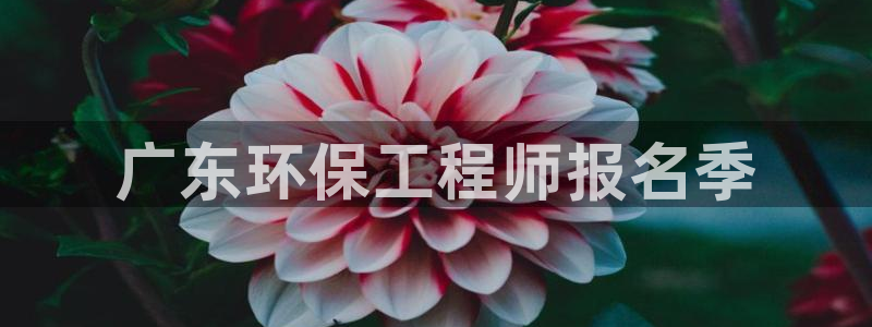 彩名堂一直不出结果怎么回事：广东环保