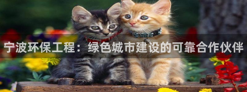 彩名堂官网客户端：宁波环保工程：绿色
