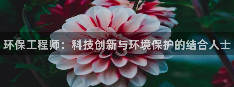 彩名堂.netnet：环保工程师：科