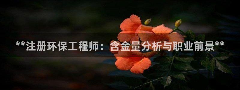 彩名堂客服：**注册环保工程师：含金