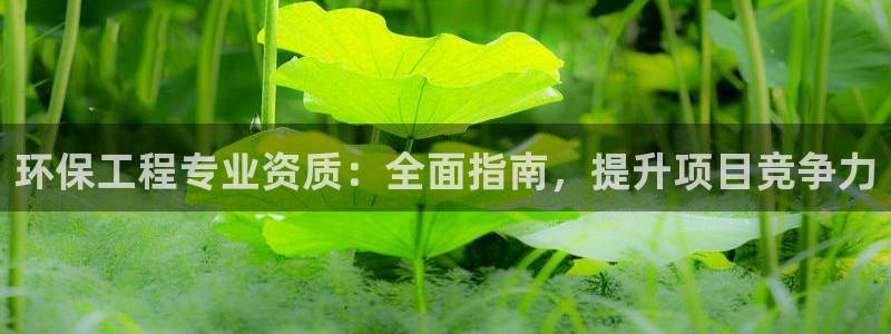 彩名堂免费计划官网5.0app：环保工程专业资质：全面指南，提升项目竞争力