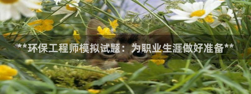 彩名堂人工预测免费计划：**环保工程