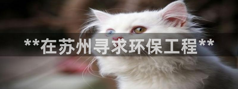 正规彩名堂官网计划01：**在苏州寻