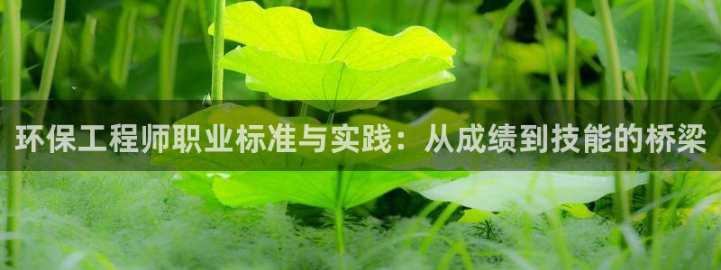 彩名堂怎么选稳定计划产品：环保工程师