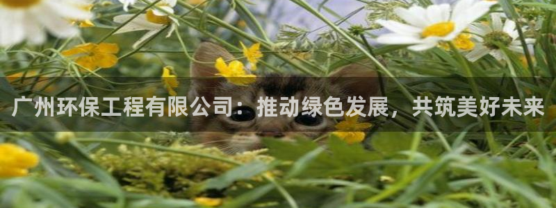 彩名堂上推荐的几个平台怎样：广州环保