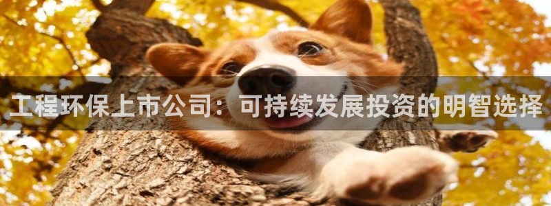 彩名堂客服：工程环保上市公司：可持续