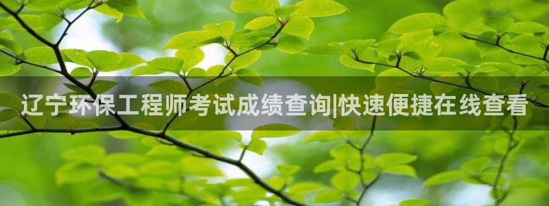 彩名堂还能用吗：辽宁环保工程师考试成