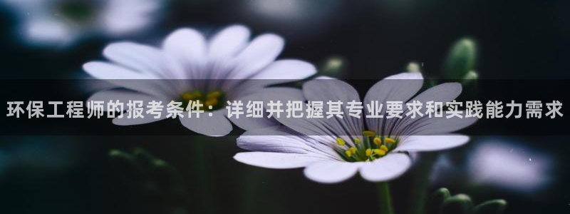 彩名堂官网在线计划怎么不更新了：环保工程师的报考条件：详细并把握其专业要求和实践能力需求