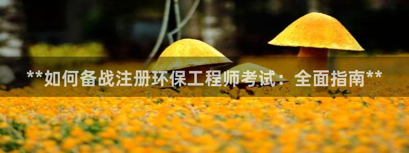 彩名堂手机客户端：**如何备战注册环
