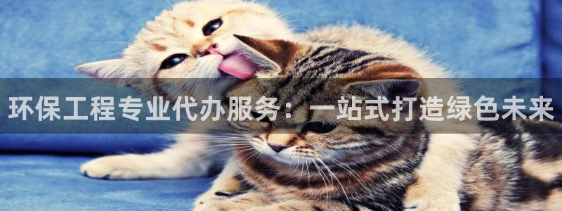 彩名堂移动客户端怎么下载：环保工程专