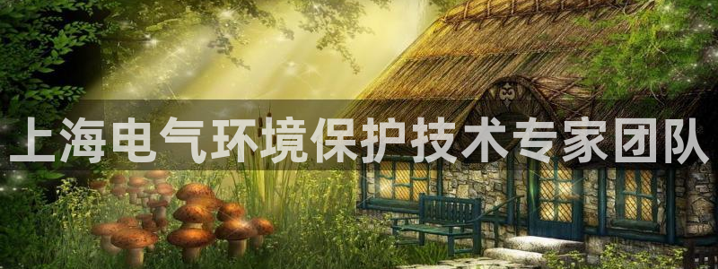彩名堂到底怎么看,一跟就挂：上海电气环境保护技术专家团队