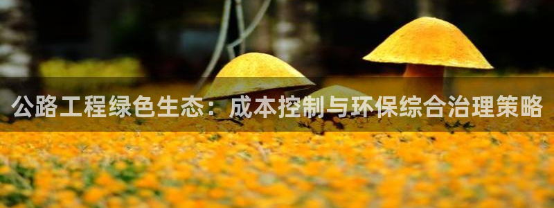 彩名堂官网谁有：公路工程绿色生态：成