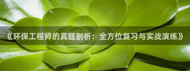彩名堂彩：《环保工程师的真题剖析：全