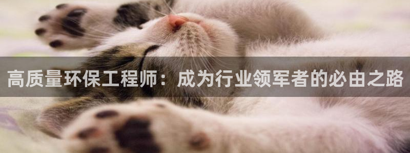 彩名堂合作655560：高质量环保工程师：成为行业领军者的必