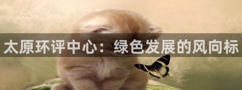彩名堂安卓客户端官网下载：太原环评中