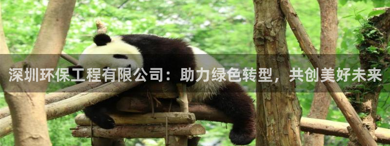 彩名堂人工计划怎么找不到下载了?：深