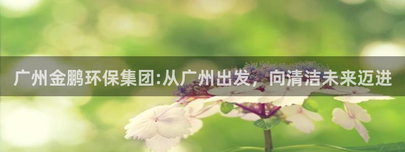 彩名堂预测免费计划app-彩名堂预测