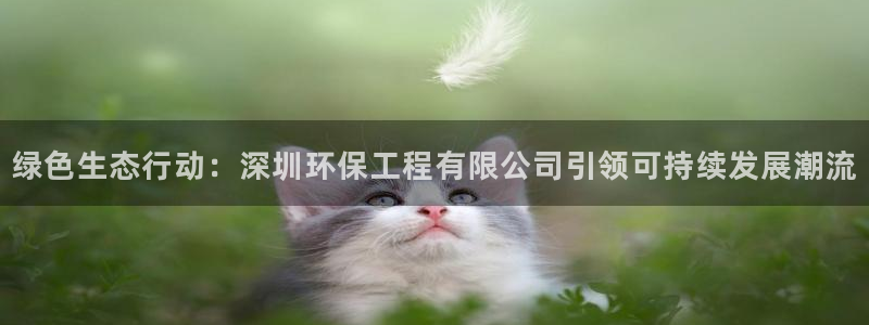 彩名堂免费计划5.0使用方法是什么：