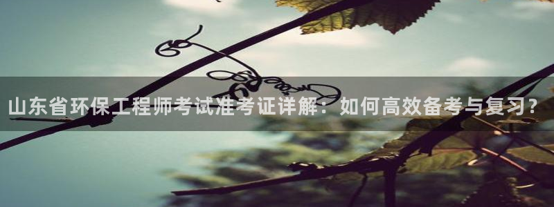 彩名堂计划怎么看：山东省环保工程师考