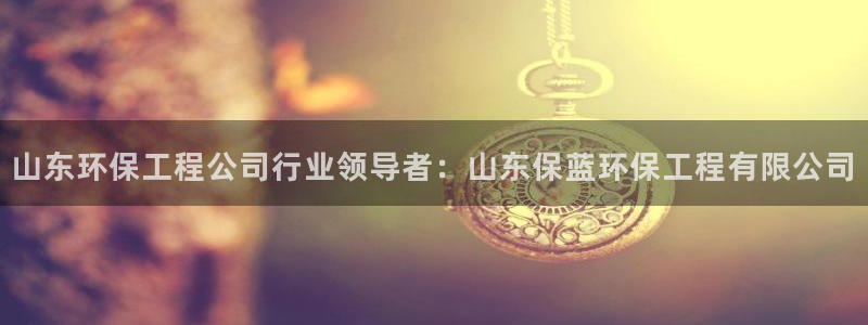 彩名堂二维码：山东环保工程公司行业领导者：山东保蓝环保工程有