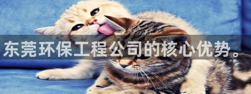 彩名堂怎么用不输：东莞环保工程公司的核心优势。