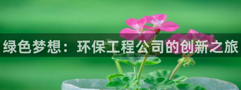 彩名堂人工计划怎么找不到下载了?：绿色梦想：环保工程公司的创