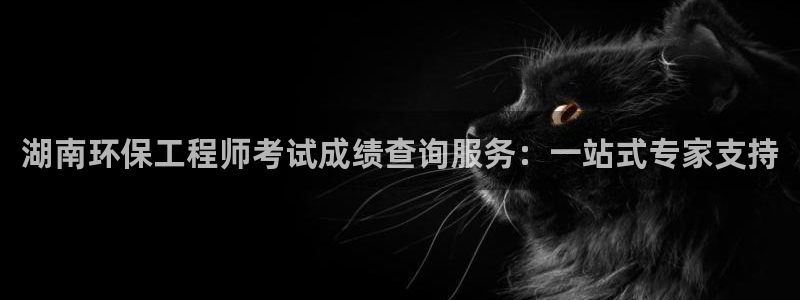 彩名堂app官方网：湖南环保工程师考试成绩查询服务：一站式专