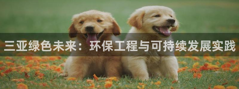 彩名堂5.0!：三亚绿色未来：环保工程与可持续发展实践